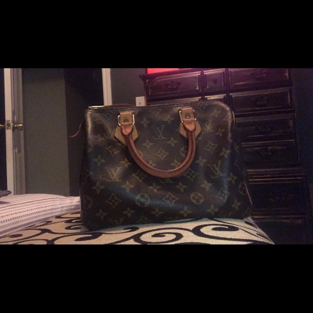 Louis Vuitton speedy 30 bag